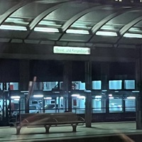 DON'T KNOW WHAT TO DO - Single - Lil Problem