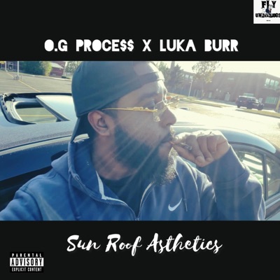 Sun Roof Asthetics - Single