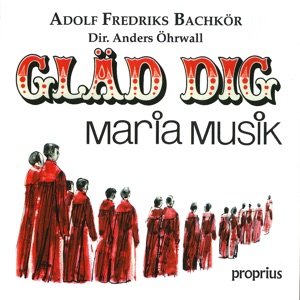 Gläd dig - Mariamusik