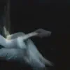 плавники