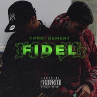 Fidel (feat. Dementrp) - Single - GaboEmec