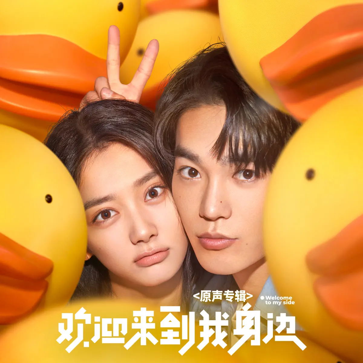 群星 - 电影《欢迎来到我身边》原声专辑 (2024) [iTunes Plus AAC M4A]-新房子
