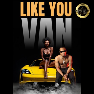 Like You - Single