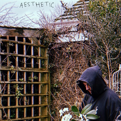 Aesthetic - Single