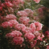 Visions - Single - Another One