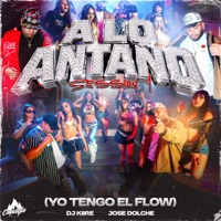 A Lo Antaño Session 1 (Yo Tengo El Flow) - Single - Dj Kiire & Jose Dolche