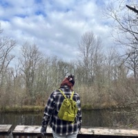 Absolute Beauty - Single - MusicForANerd