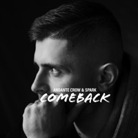 Comeback - Single - ANDANTE CROW & Spark
