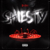 Shiesty - Single - Didi
