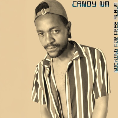 Nothing For Free Album