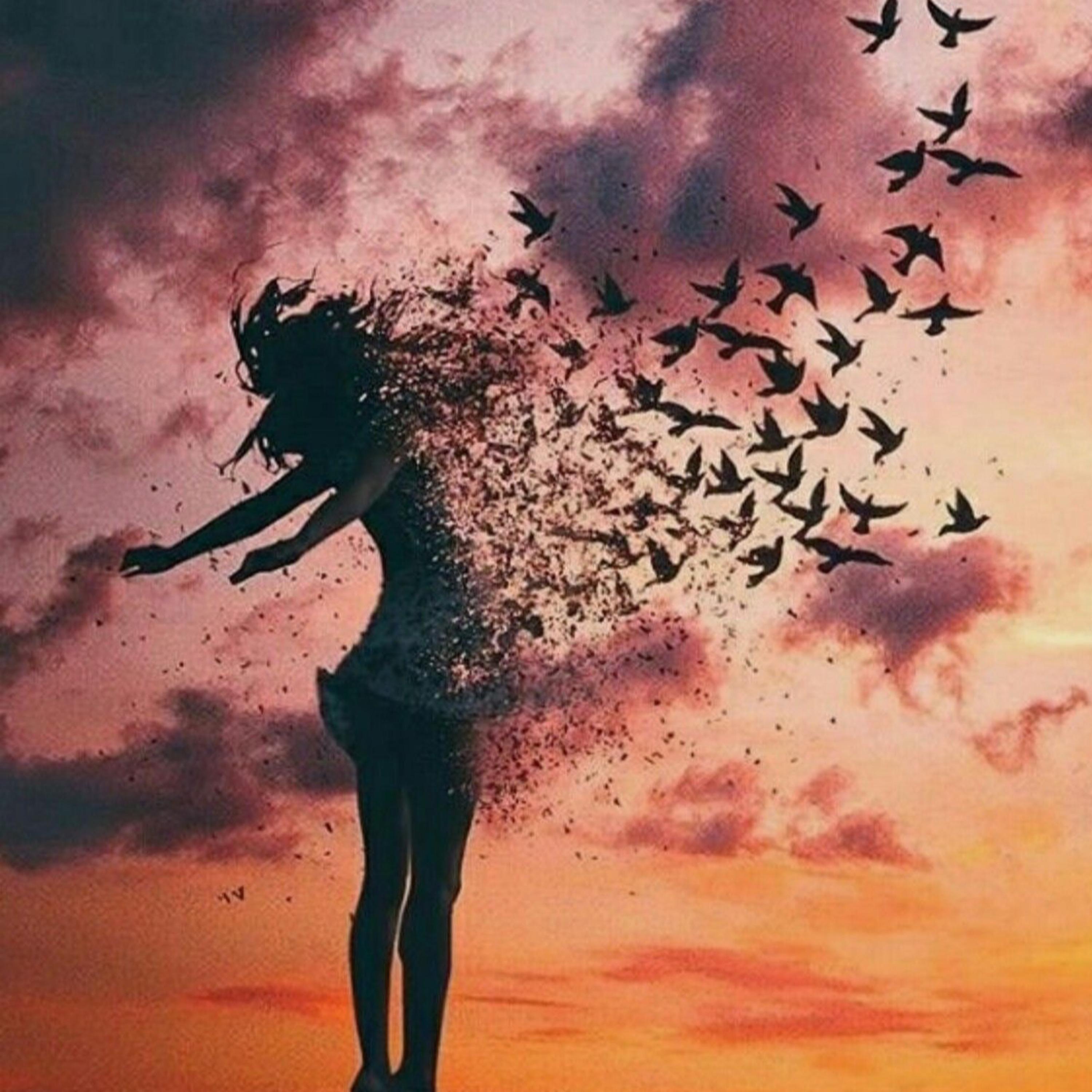 Volare - Single