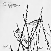Two Sparrows - Single - Raphah