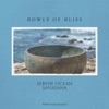 Bowls of Bliss: Serene Ocean Savasana