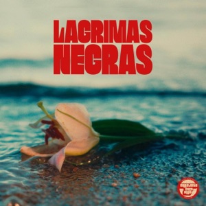 Lágrimas Negras