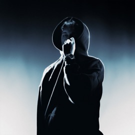 так совпало wavescale