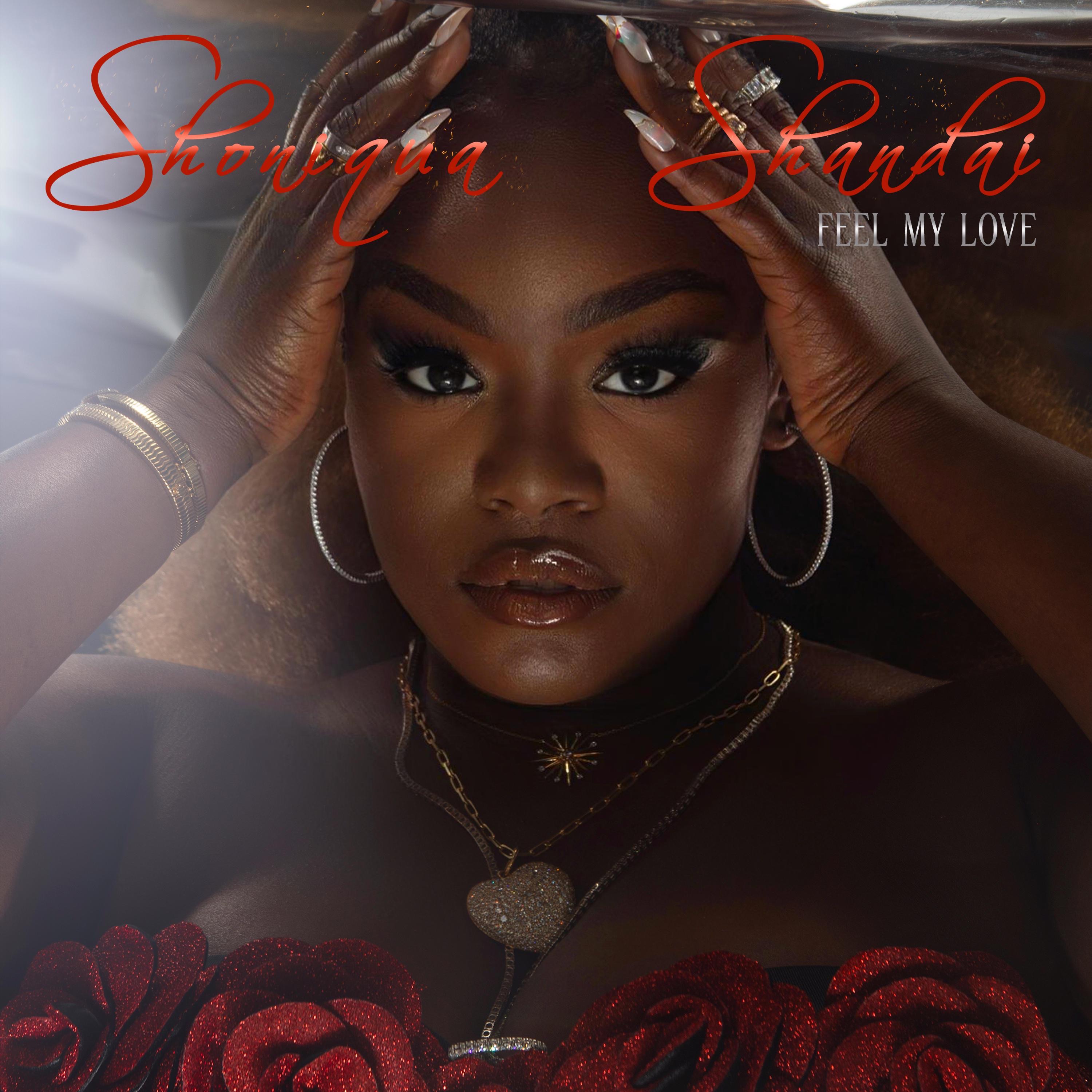 Feel My Love - Single