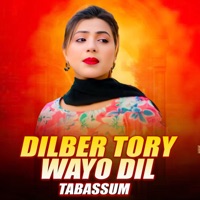 Dilber Tory Wayo Dil - Single - Tabassum