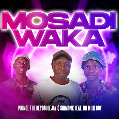 Mosadi Waka (feat. The KEYBO, SirMonk & Dr Milk Boy) - Single
