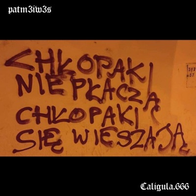 Chłopaki Nie Płaczą, Chłopaki Się Wieszają (feat. patm3iw3s) - Single