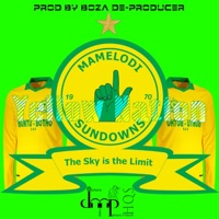 Yellow Nation - Single - Boza De-Producer