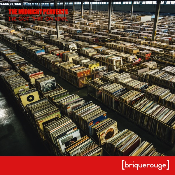 I'Ve Got That on Vinyl - Single