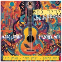 ידיד נפש (feat. יצחק מאיר & Marc Levine) - Single - Nochi Krohn