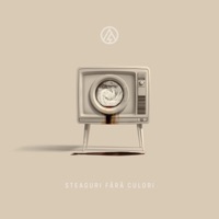 Steaguri Fără Culori - Alternosfera