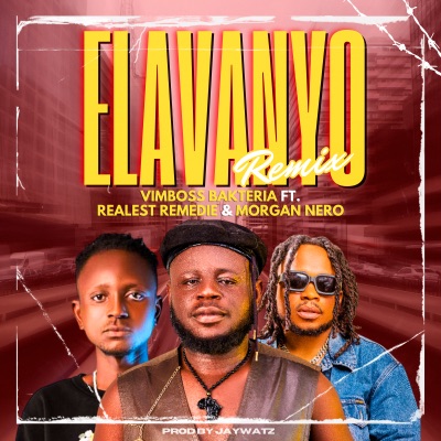 Elavanyo (Remix) [feat. Realest Remedie & Morgan Nero] - Single