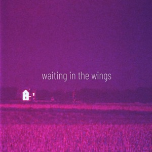 Waiting In The Wings - Single