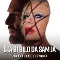 Šta Bi Bilo Da Sam Ja