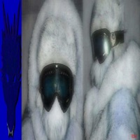 842 - Single - lagoyo