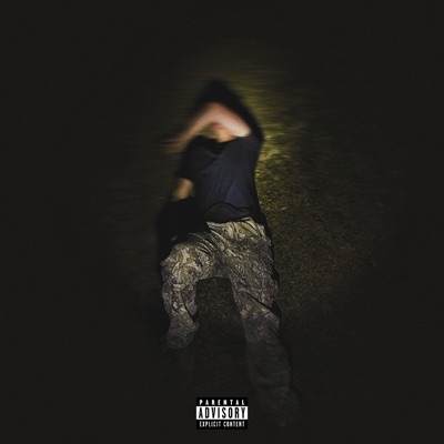 IN THE CUT - Single