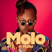 R-Flow - MOLO