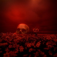 RÄNGER - Single - NYLON & Major