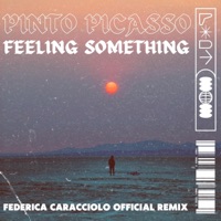 Feeling Something (Federica Caracciolo Official Remix) - EP - Pinto Picasso Federica Caracciolo, Federica Caracciolo & Pinto Picasso