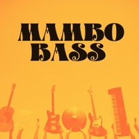 MAMBO BASS (SATURED) - Single - JAVISH BEATS