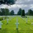 Now Let Us Sing (in honor of our soldiers fallen in battle)