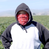 Cúrame - Single - Denise Gutiérrez & Yamil Rezc