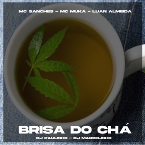 Brisa do Chá (feat. DJ Marcelinho & Dj Paulinho)