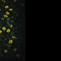 I kno i can freestyle (feat. OTF Zay) - Single - Theyenvy_eli