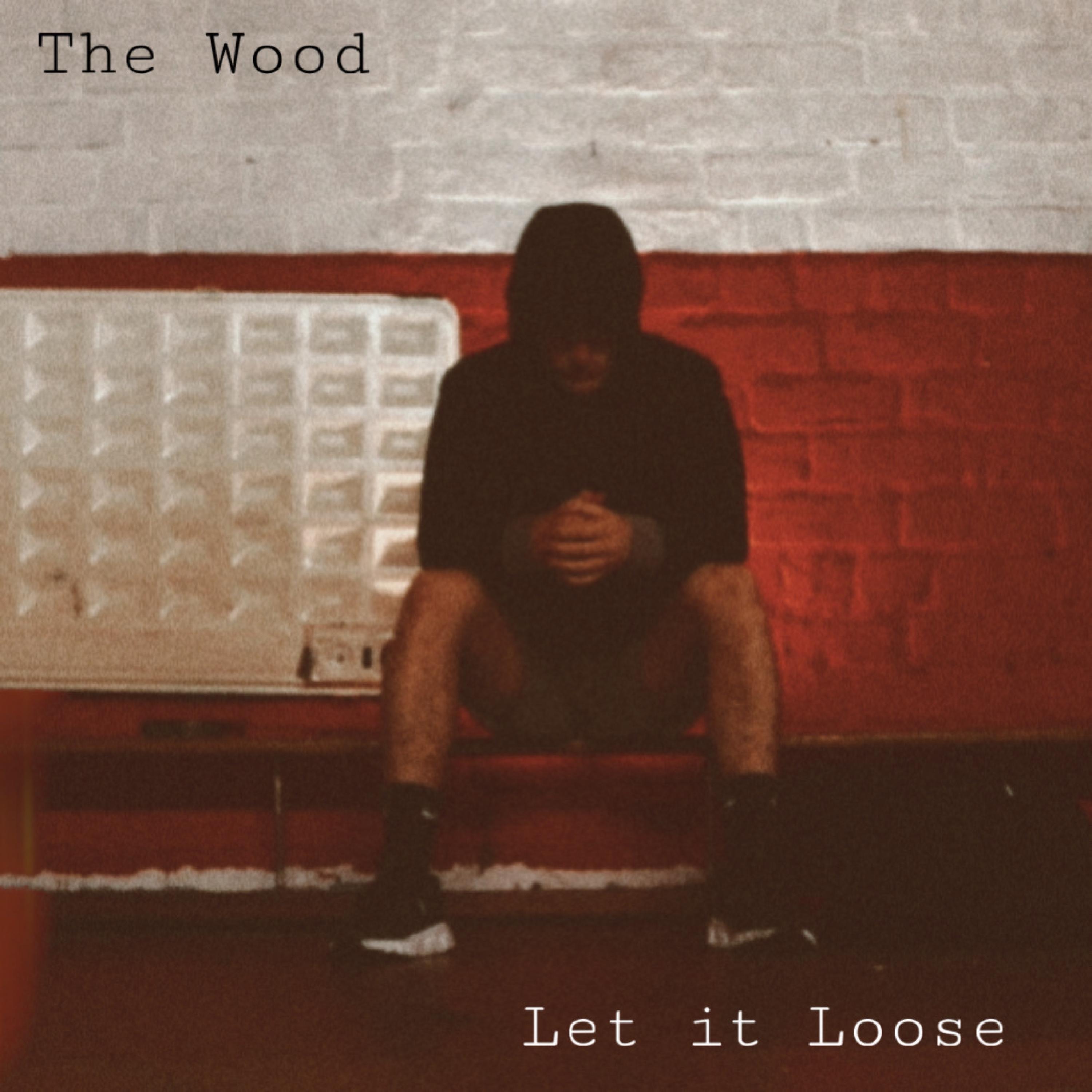 Let it Loose - Single