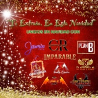 Te Extraño, En Esta Navidad (feat. Jasmin Viva, Conjunto Plan B, Imparable, Grupo Emergencia, Martin Zamora, Grupo D-Estilo, Los Ángeles Salvajes & La Influencia Hnos Miranda) - Single - Christina Ramos
