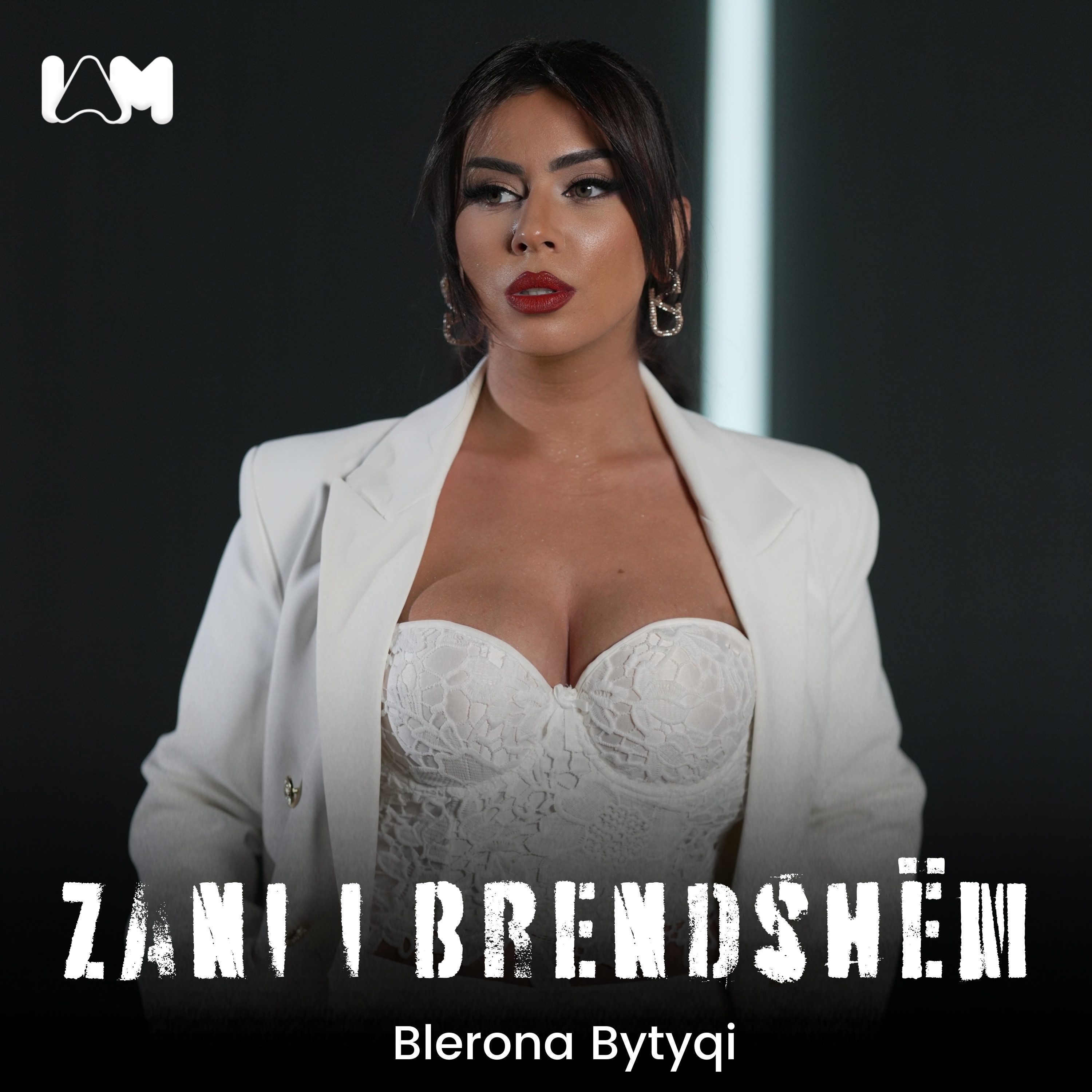 Zani i Brendshëm - Single