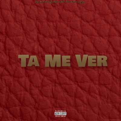 Ta Me Ver - Single