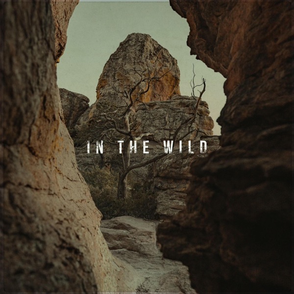 in the Wild (feat. KRL)