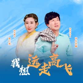 我想远走高飞 音乐走廊 & 贺仁秀