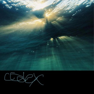 Rushes (Water)