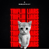 Triflin Liars - Single - Shelbykay