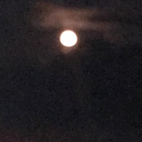 Too Nervous (feat. LaeFrmdaroc & Lil twon) - Single - DatboyBleu