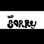 (Sorry) Not Sorry - Single